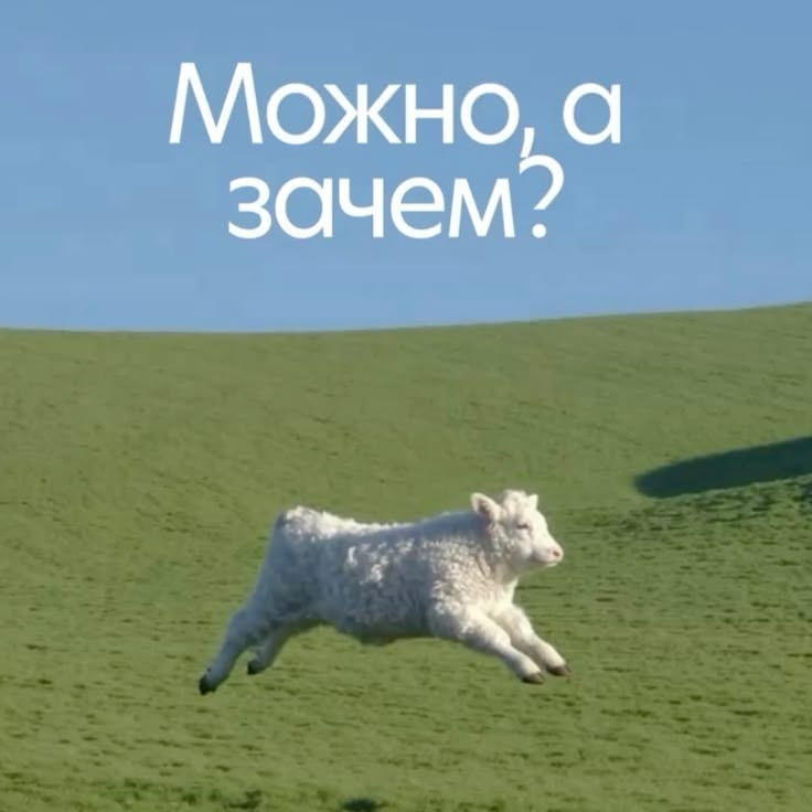 Мем «Можно, а зачем?»